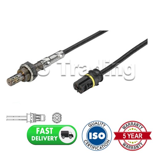Front wire oxygen sensor - sensor, for