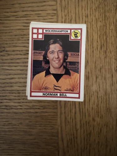 Panini football stickers - football,