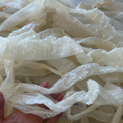 Massive collection snake - collection, of