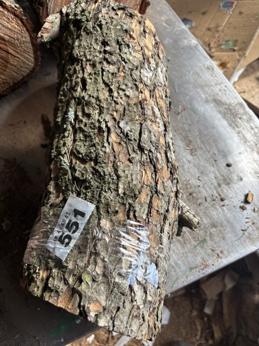 Cedar lebanon block - cedar, block.