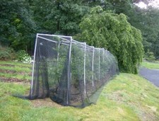 Deluxe Net 20'X100'