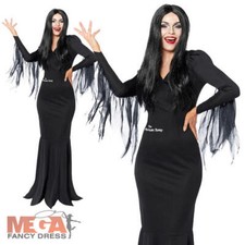 Ladies Morticia Plus Wig