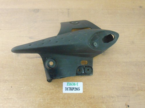 Kawasaki zx636 c1h left - zx636, rear