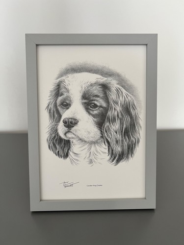 Framed cavalier king - framed,