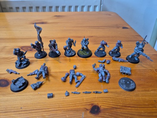 Cadian squad imperial - cadian,