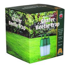 AGRALAN ADULT CHAFER BEETLE