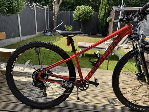 Specialized rockhopper comp - rockhopper, 29