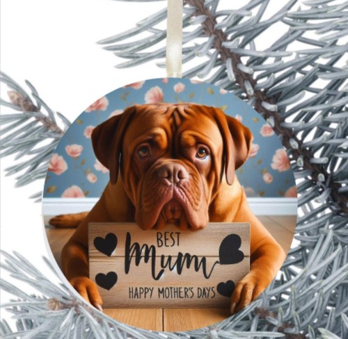 Dogue bordeaux dog hanging - dogue, de