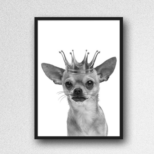 Chihuahua dog print - print, picture