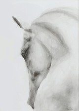 Mystical Irish Horse