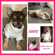 XXXS Dog Coat Chihuahua Clothing Teacup Size White Knit Puppy Jumper 
