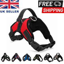 Dog Harness No Pull For Small