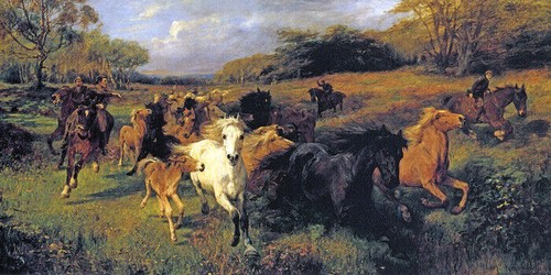 Colt hunting the new - colt, in
