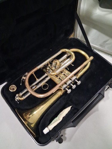 Roy benson cr202 cornet - roy,