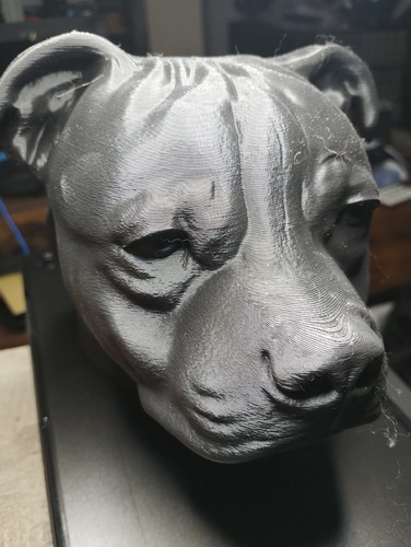 Staffordshire bull terrier - staffordshire,