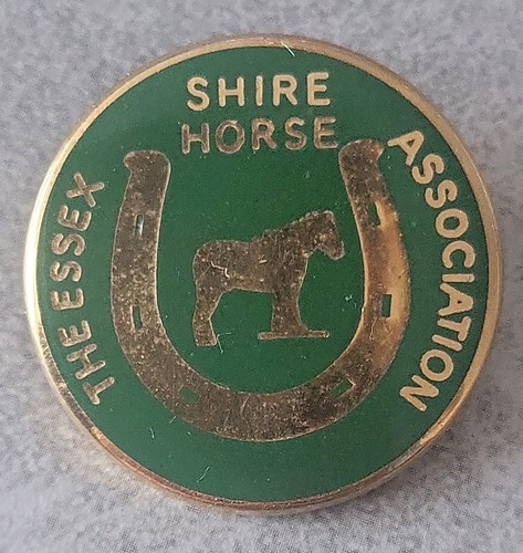Vintage enamel lapel pin badge