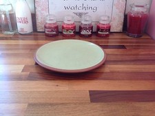 NEW⭐️DENBY JUICE⭐️APPLE GREEN Gorgeous Medium Dinner PLATE⭐️