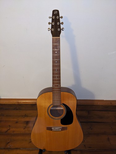 Rare seagull guitar - m6,