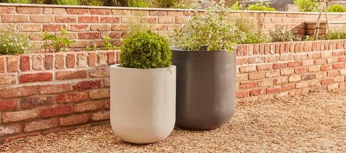 Set extra large plant - 2,