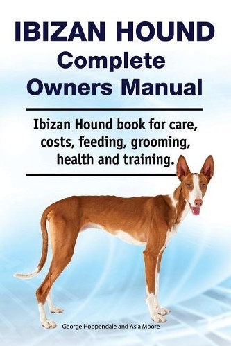 Asia moore geor - ibizan, hound