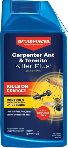 Bioadvanced carpenter ant - carpenter,