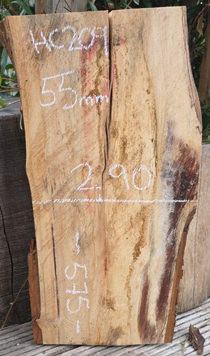 Spalted chestnut live edge - spalted,