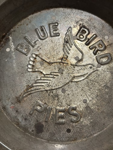 Vintage blue bird - 2,