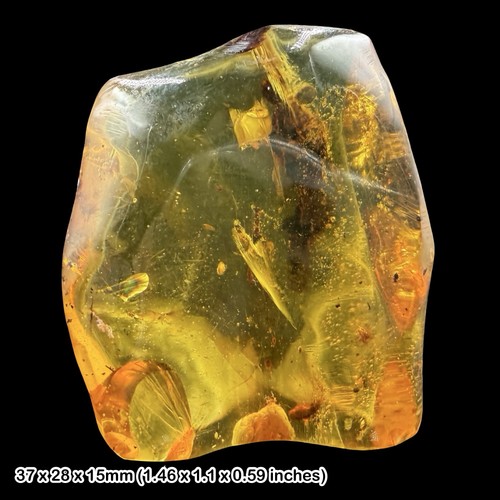 Rare mexican amber - rare,