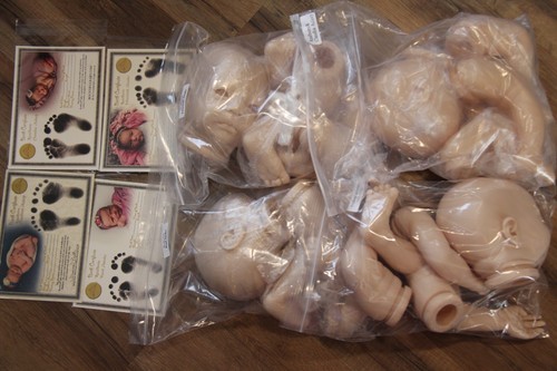 Reborn doll kits coa - doll, claudia