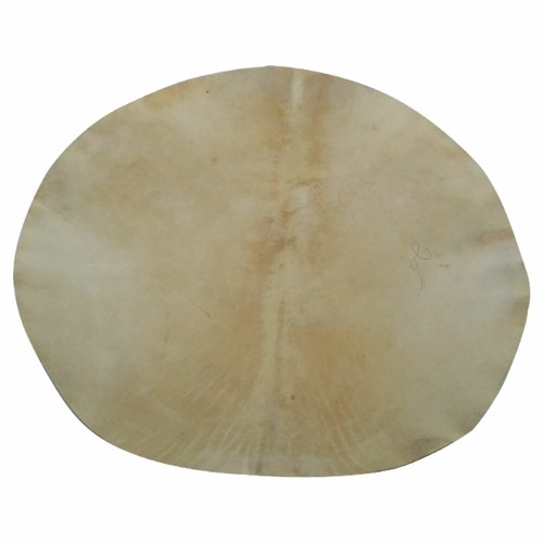 Drum head goat skin - drum, 22"