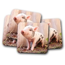 4 Set - Cute Piglet Coaster -