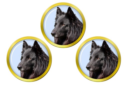 Belgian shepherd dog - shepherd,
