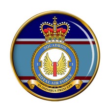 1 Squadron, RAF Pin Badge