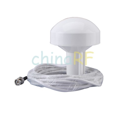Bnc marine fish - fish, boat