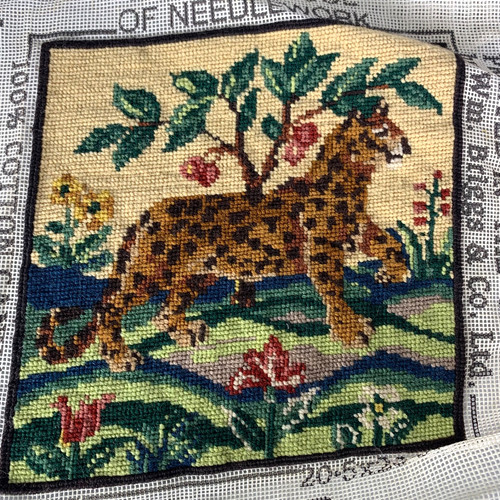 Anchor leopard completed - anchor,