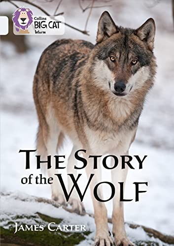 The story - story,