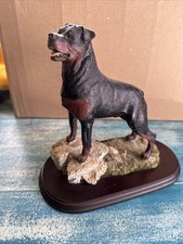 Best Of Breed Dog Rottweiler Standing Hand Painted Resin Ornament