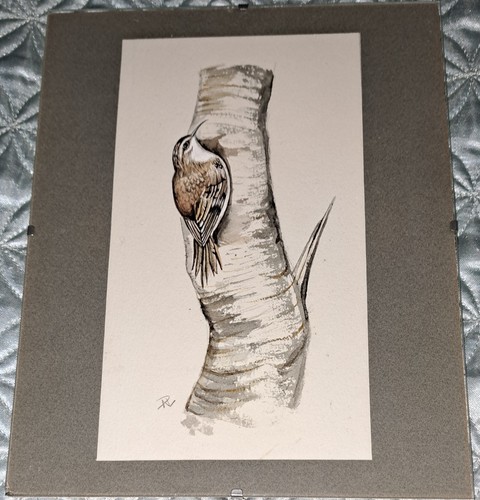 Original watercolour paper - original,
