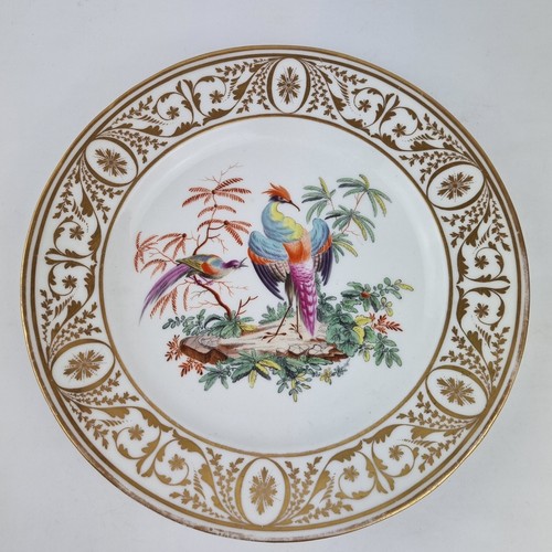 Antique 19th century - century, coalport