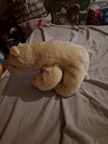 Polar bear soft toy plush - toy,