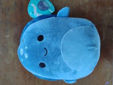 Truman Turtle (dentist)