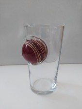 Embedded Cricket Ball Pint