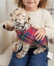 COACH~Jack Russell Terrier