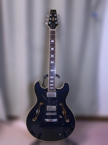 Aria pro 62c electric - ta-62c,