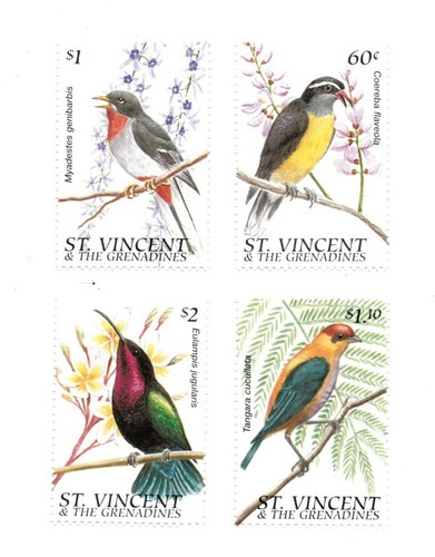 Vincent 1996 birds - st.,