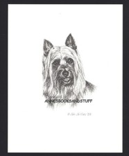 #410 AUSTRALIAN SILKY TERRIER*