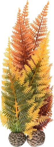 Biorb winter fern - biorb,