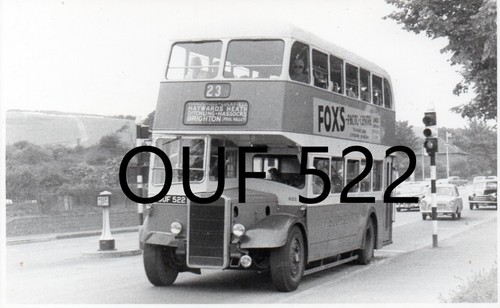 Southdown 522 ouf - southdown, arab