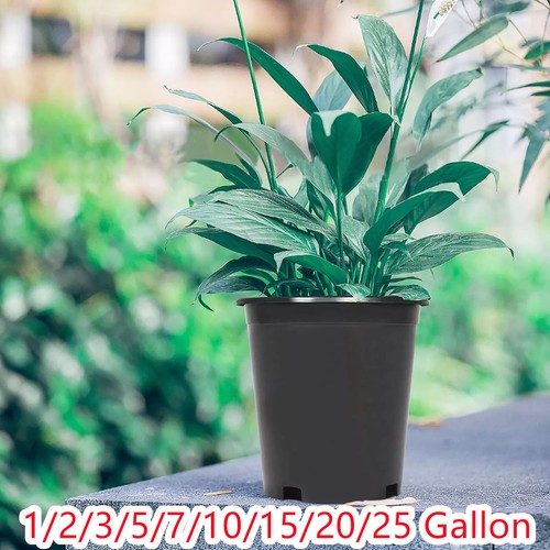10 15 20 25 gallon - 1/2/3/5/7/10/15/20/25,