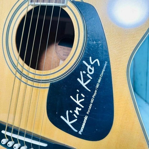 Rare morris 251kn - mf-251kn, acoustic